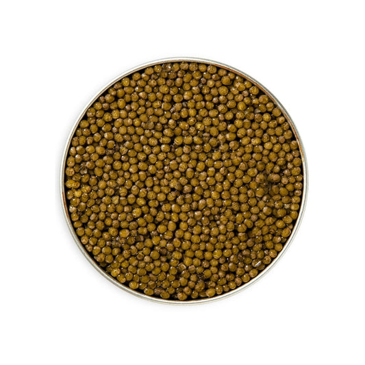 Close-up of a dish filled with brown caviar on a white background