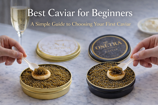 Best Caviar for Beginners