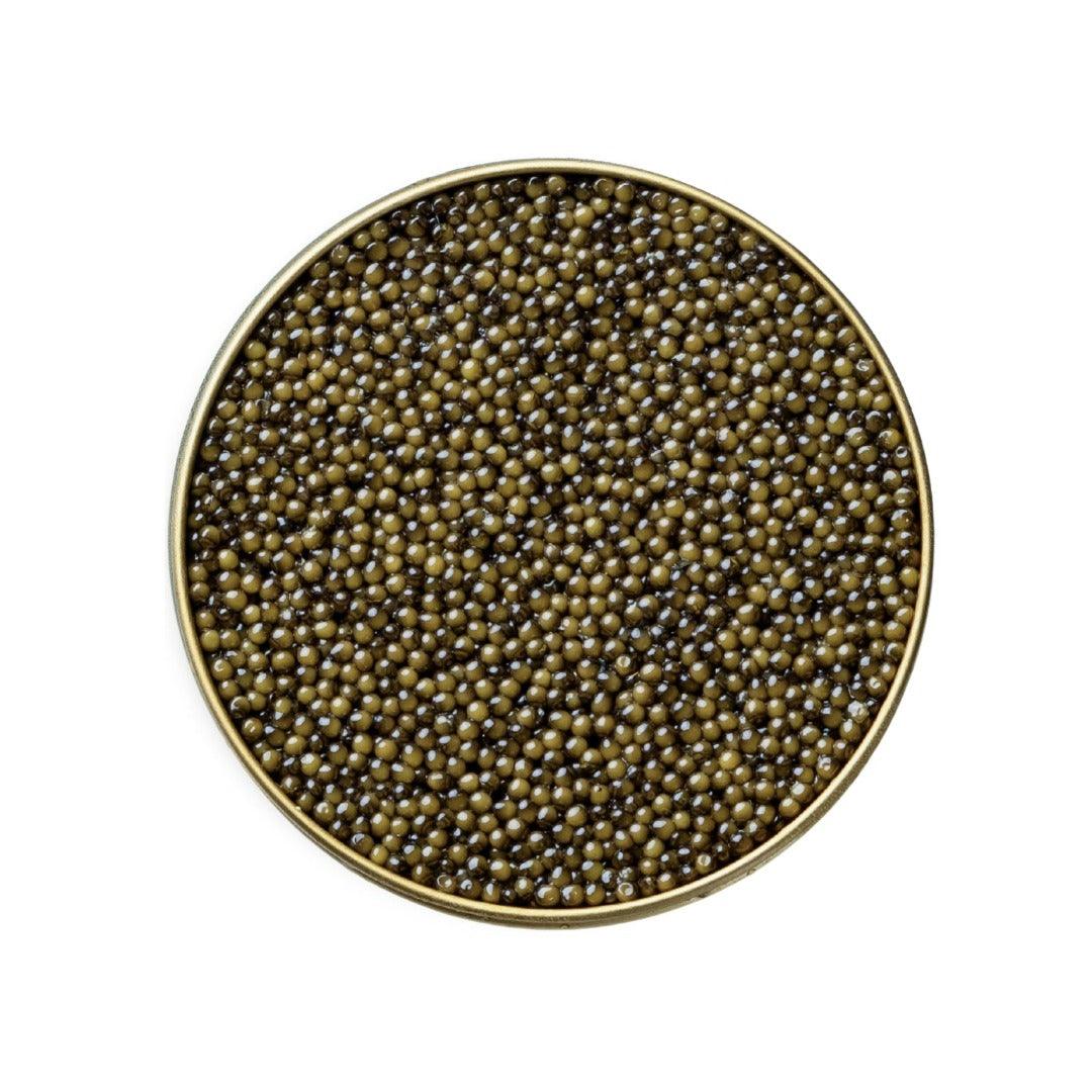 Taste-It-All Caviar Set | 5 Premium Caviars to Discover | Number One Caviar