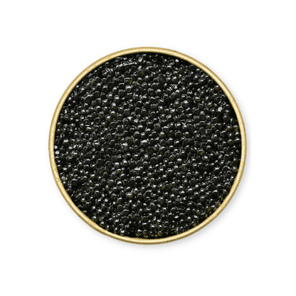 Taste-It-All Caviar Set | 5 Premium Caviars to Discover | Number One Caviar