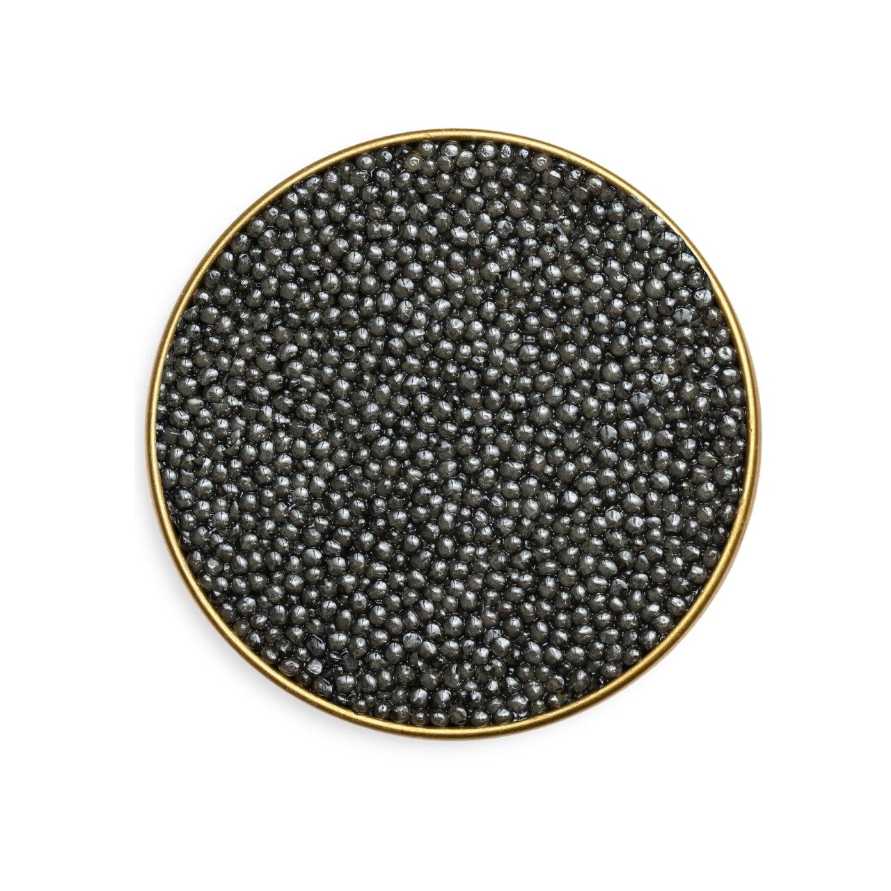 Royal Sevruga Caviar | Bold & Briny Premium Roe | Number One Caviar