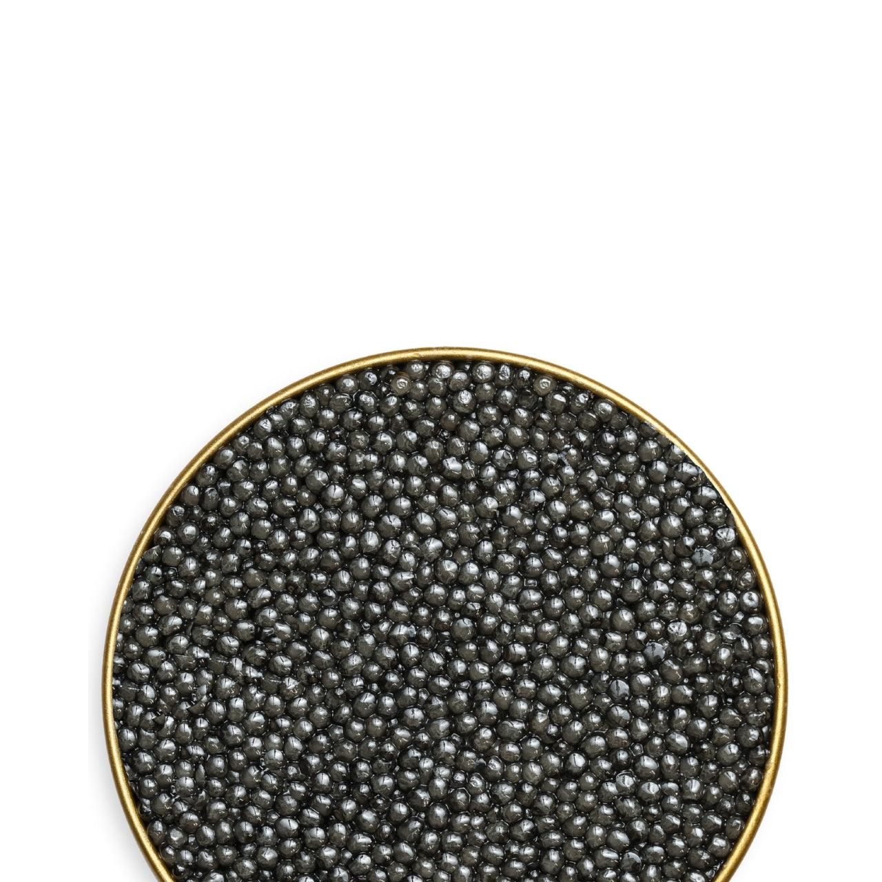 Royal Sevruga Caviar | Bold & Briny Premium Roe | Number One Caviar