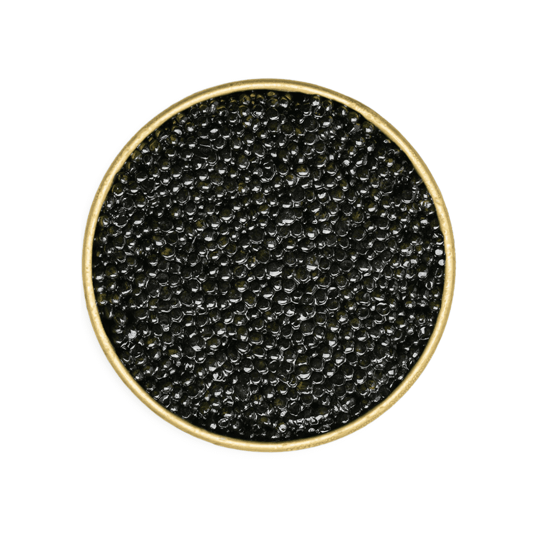 Taste-It-All Caviar Set | 5 Premium Caviars to Discover | Number One Caviar