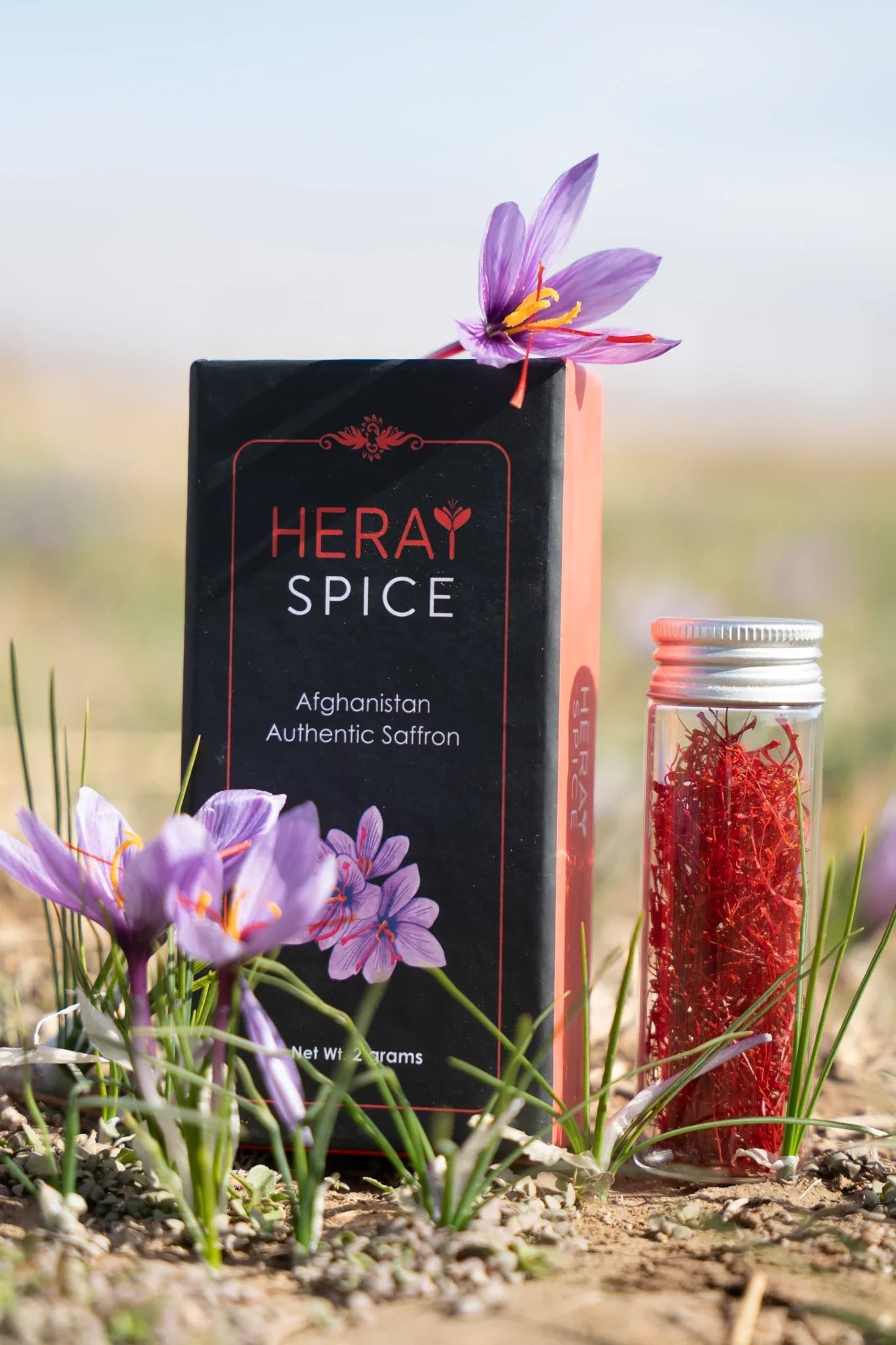 4 Grams (0.14 Oz) Heray Afghan Saffron Extra Class Premium Super Negin Quality