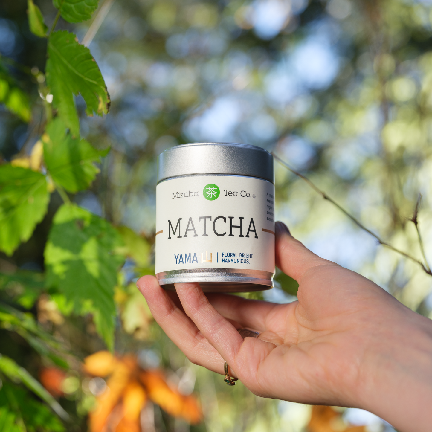 Yama Matcha Green Tea