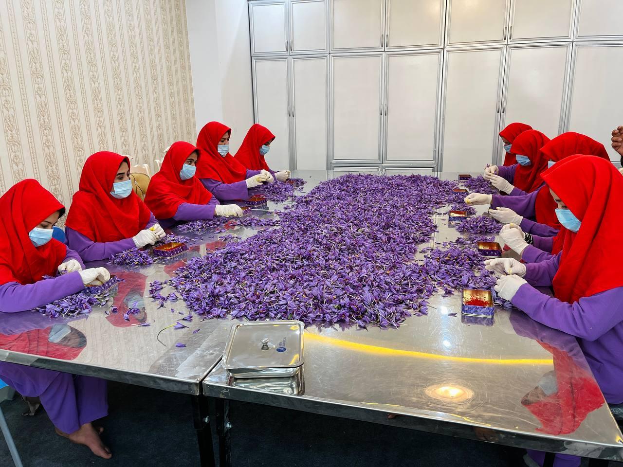 Afghan Saffron Super Negin Grade 1 – 1 oz (28.5g) Pure Threads | Heray Spice