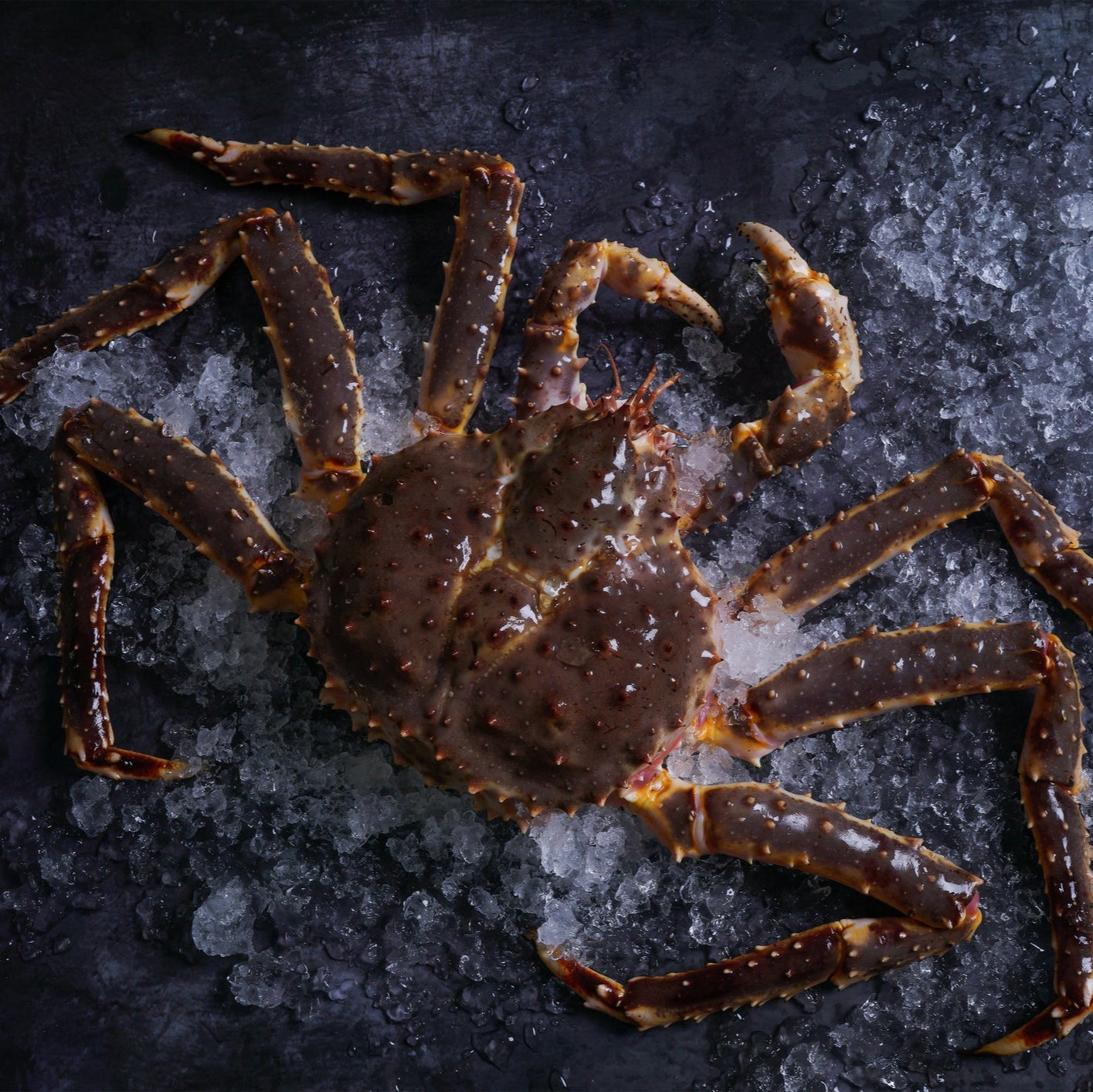 King Crab - Premium Live Seafood Delivered to Your Doorstep