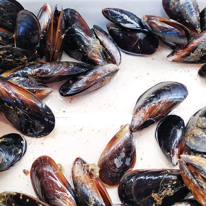 Buy Fresh Mussels Online – Sustainably Harvested and Delivered to Your Door
