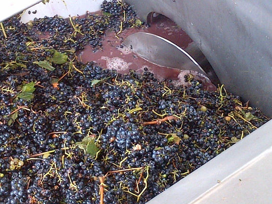 Drunken Goat® | Spanish Goat Cheese Soaked in Red Wine | Nicola's Marketplace