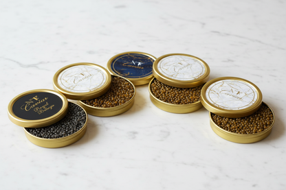 Main Image – 5 Latas Completas